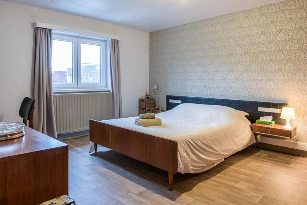 Vakantiewoning In Mol Centrum Met Eigen Bar "Casacuriosa" Екстериор снимка